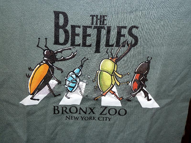 NY (362).jpg